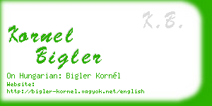 kornel bigler business card